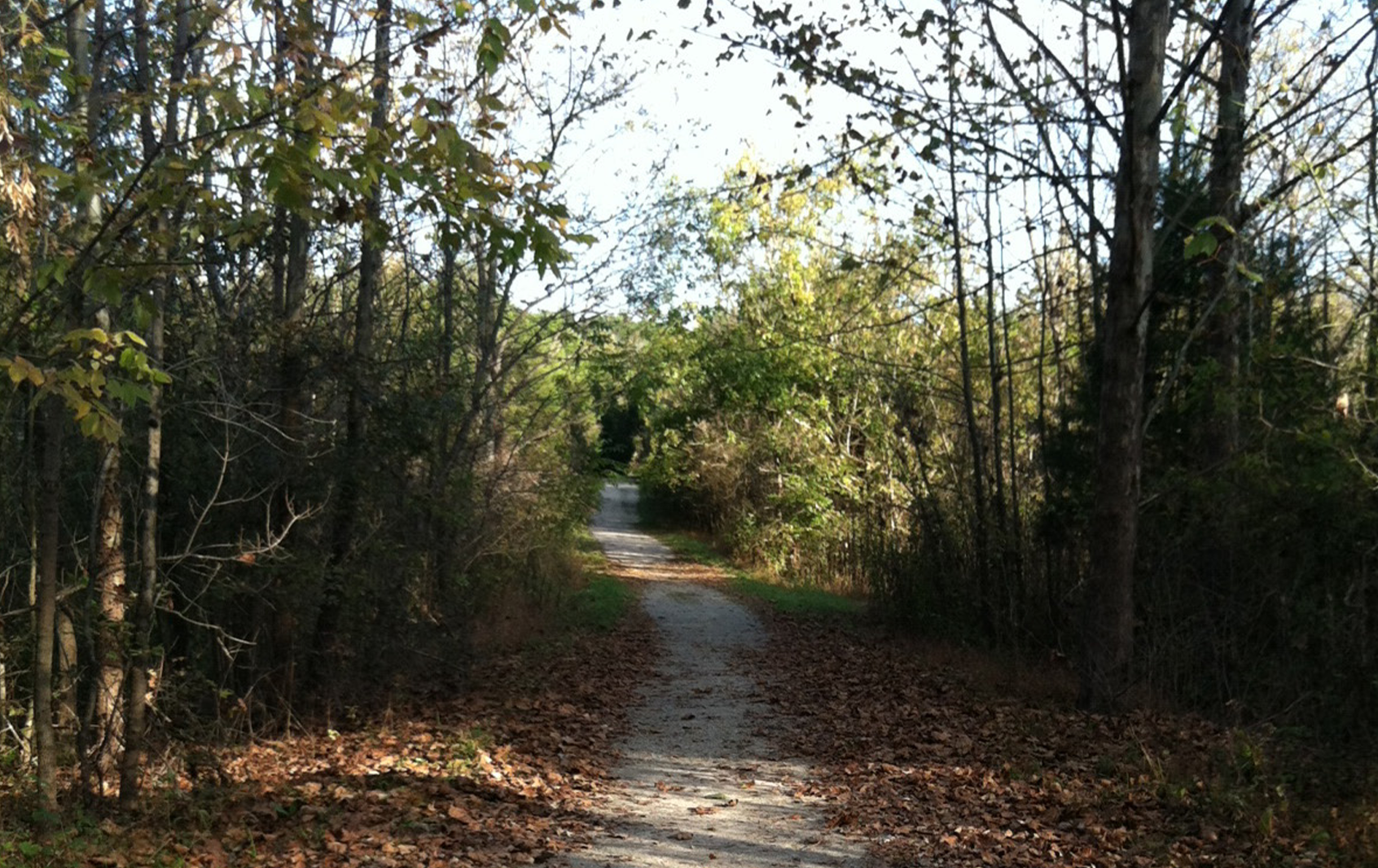 Trail in Pope Lick Park in the Parklands of Floyds Fork.