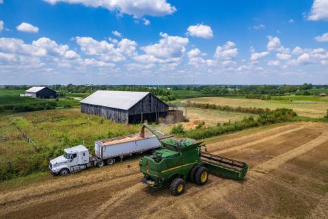 A combine unloads wheat in to a trailer in a field near two barns.